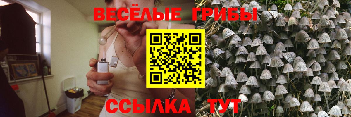 Гулькевичи  Псилоцибиновые грибы прущие грибы  Вход с VPN 