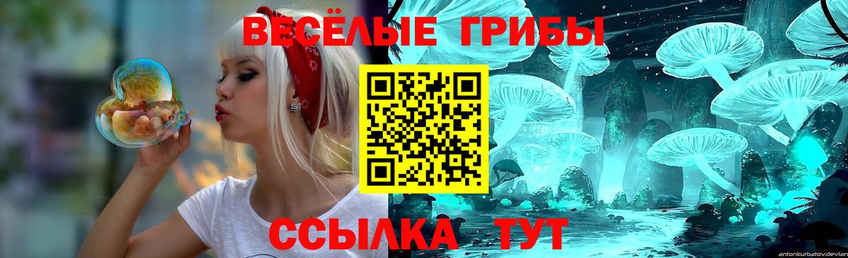 Псилоцибиновые грибы мицелий Гулькевичи